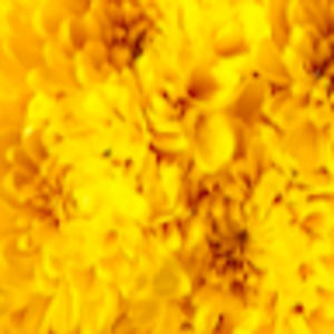 Meet your Posher, Unsolicited-